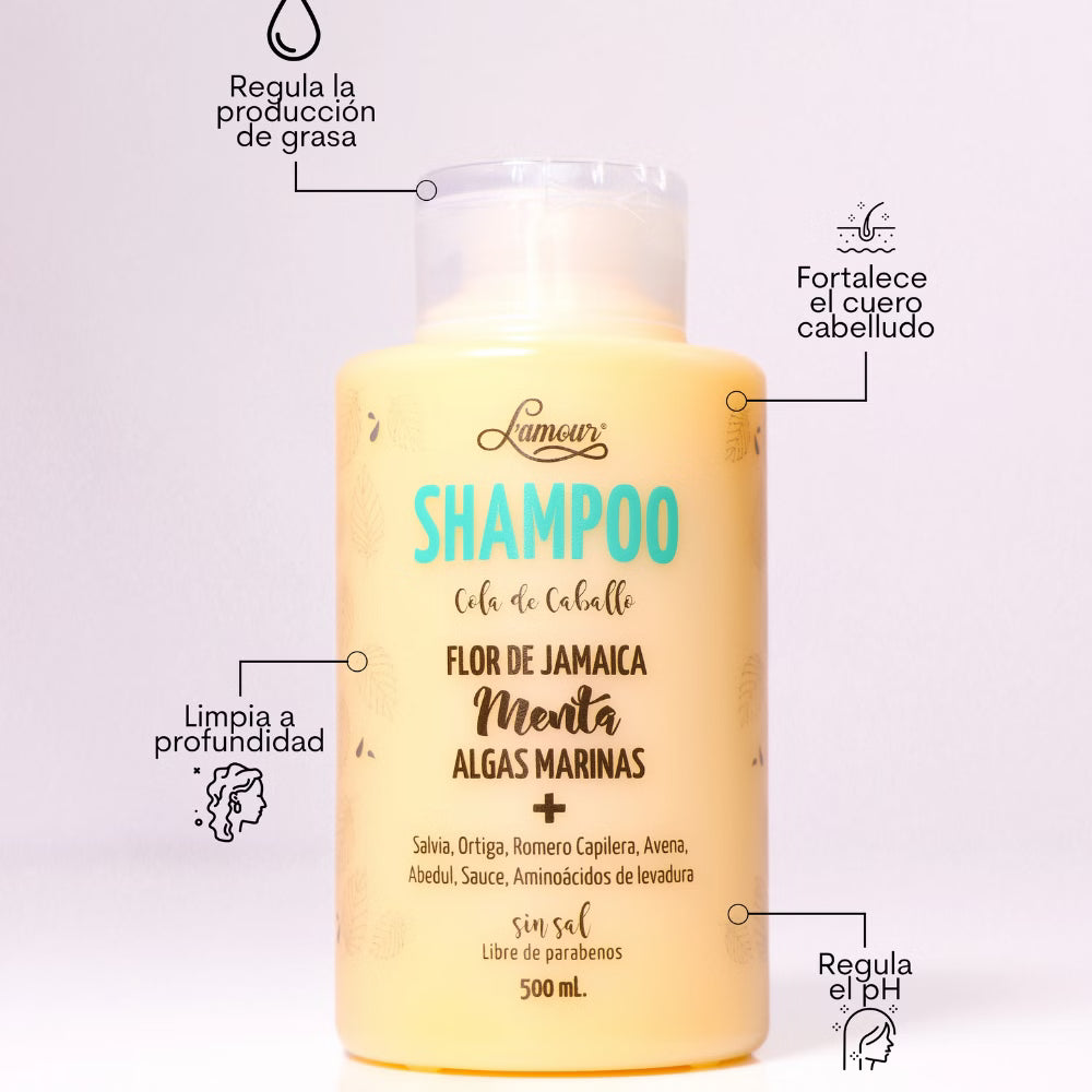 Shampoo Cola De Caballo Lamour